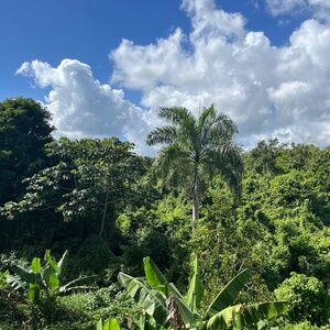 Meet your Posher, Luís